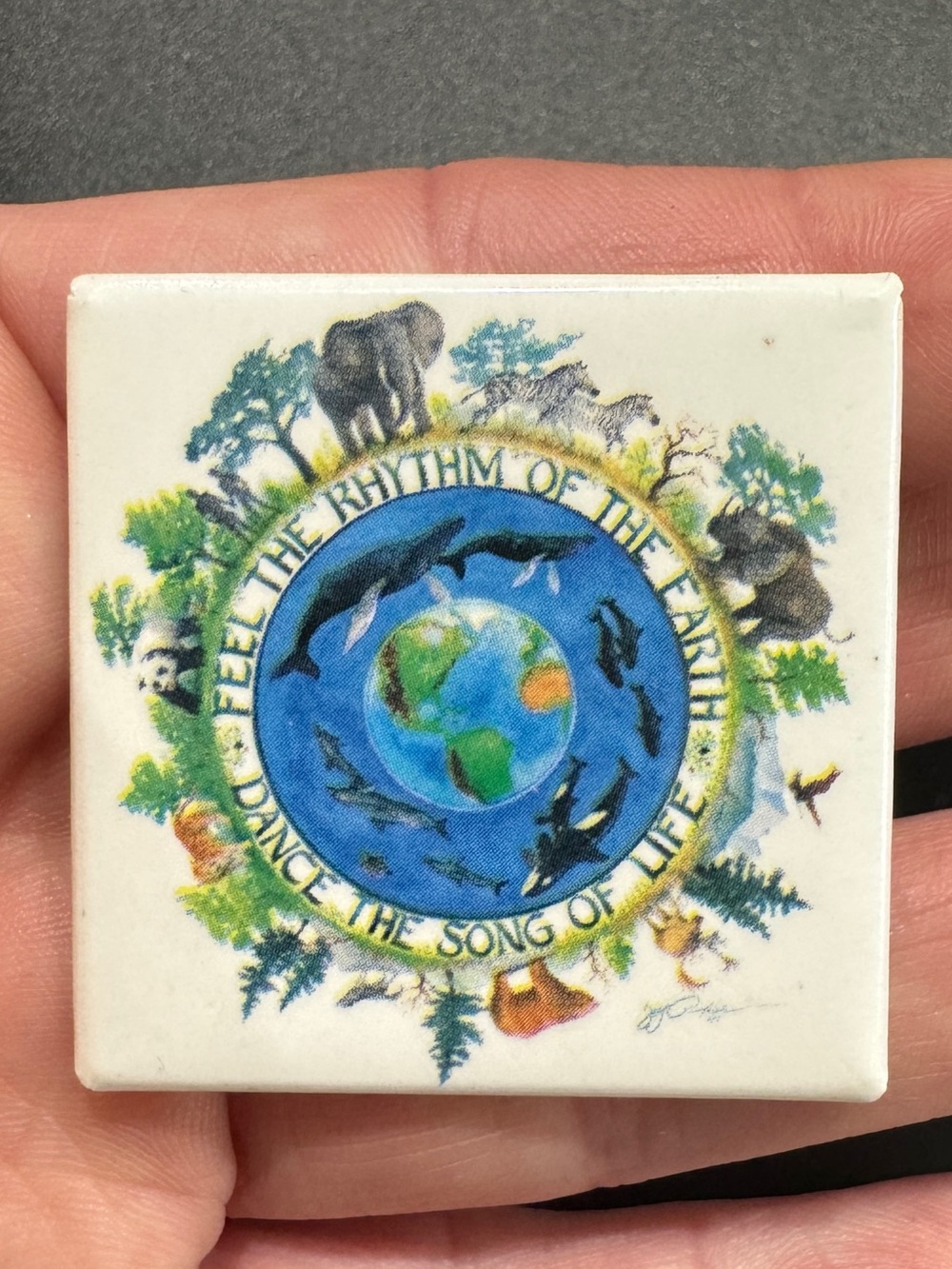 1991 Earthly Concerns Earth Wildlife Brooch - Blue & Green Globe